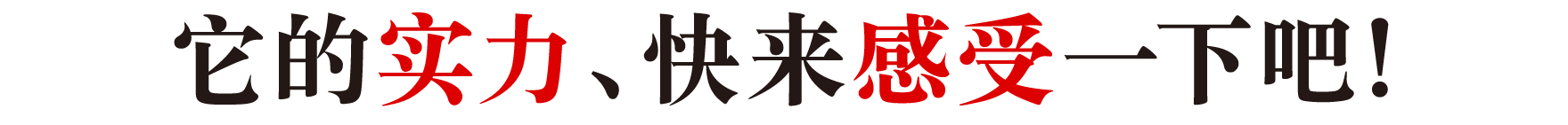 它的实力、快来感受一下吧!